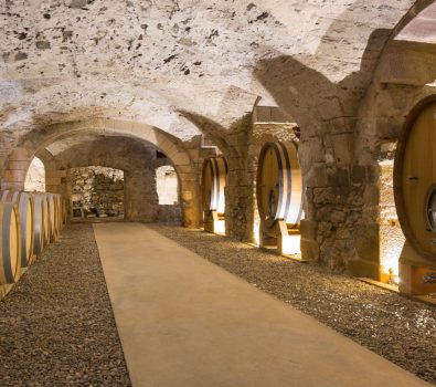 Geführte Tour: Vom Weinberg zur Weinprobe im Klosterschloss Bormettes