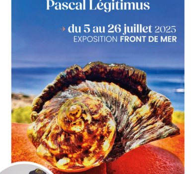Exposition en plein air : « Trésors marins » de Pascal Légitimus