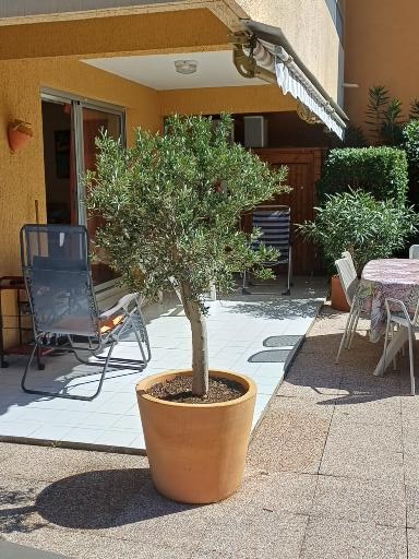 Guillemin Claude – 3-Zimmer-Apartment_Le Lavandou