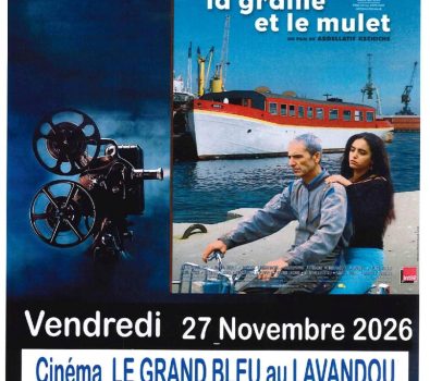 Kino – Filmvorführung „La graine et le mulet“