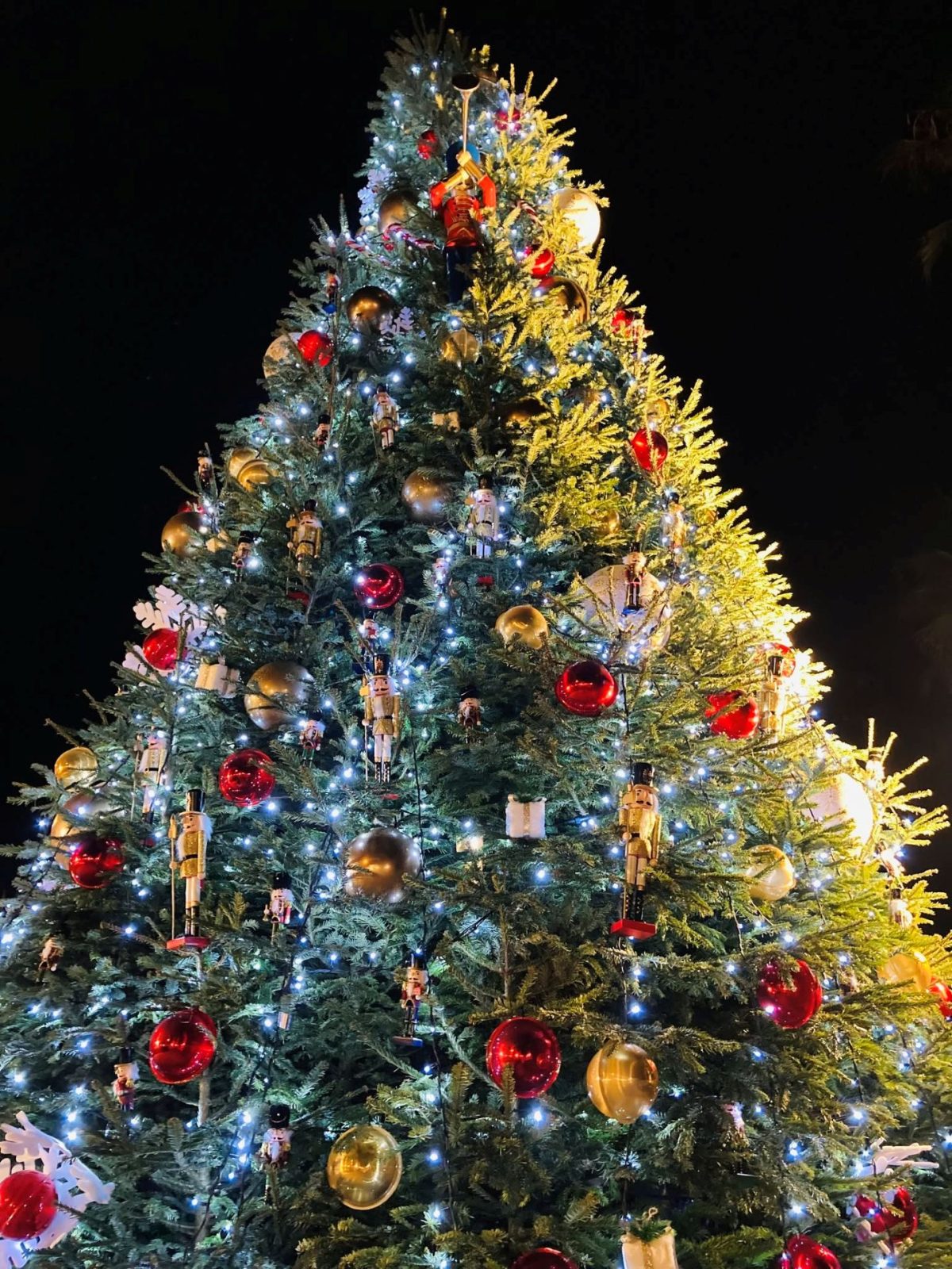 Start der Beleuchtung und Eröffnung des Weihnachtsmarktes_Le Lavandou